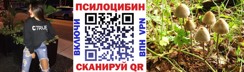 мега tor  Горно-Алтайск  Псилоцибиновые грибы мухоморы 