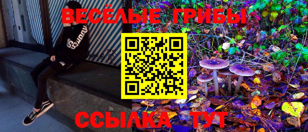 Горно-Алтайск  Псилоцибиновые грибы Psilocybe  Вход с VPN 