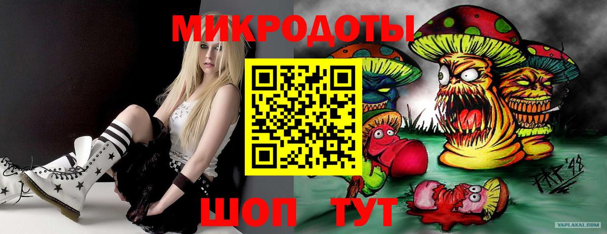 Галлюциногенные грибы прущие грибы  Галлюциногенные грибы Psilocybe  Горно-Алтайск 