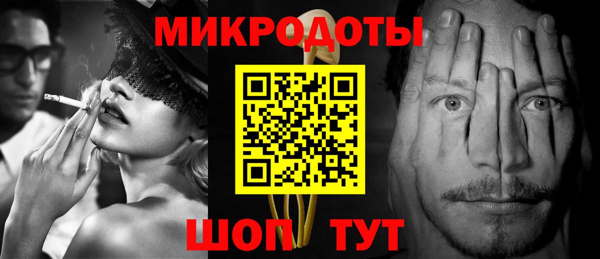 Галлюциногенные грибы Psilocybe Горно-Алтайск